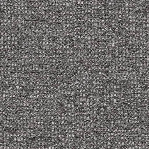 Sneak Grey 65