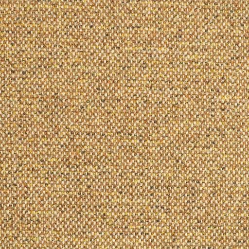 Sneak Mustard 06