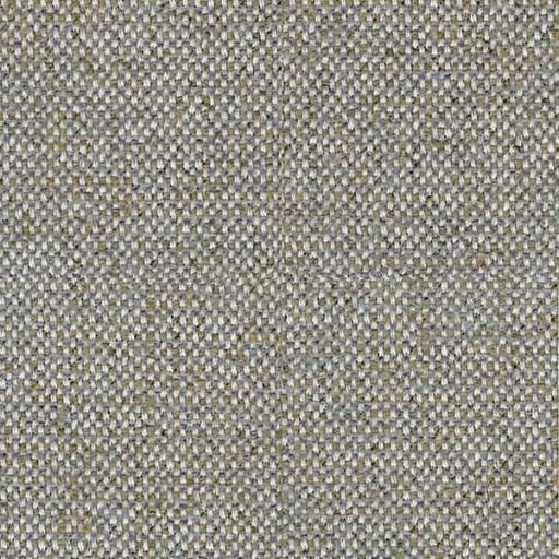 Sneak Olive 53