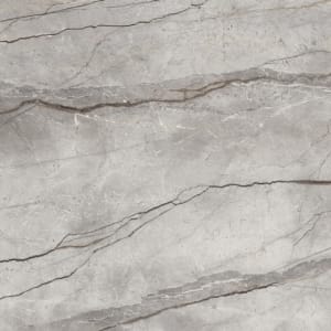 Silver Root Grey